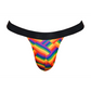 Jockstrap - Regenbogen L/XL 