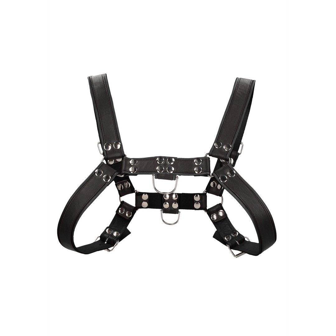 Bulldog Leather Chest Harness - XL - EroticToyzProducten,Toys,Fetish,Harnassen,,MannelijkOuch! by Shots